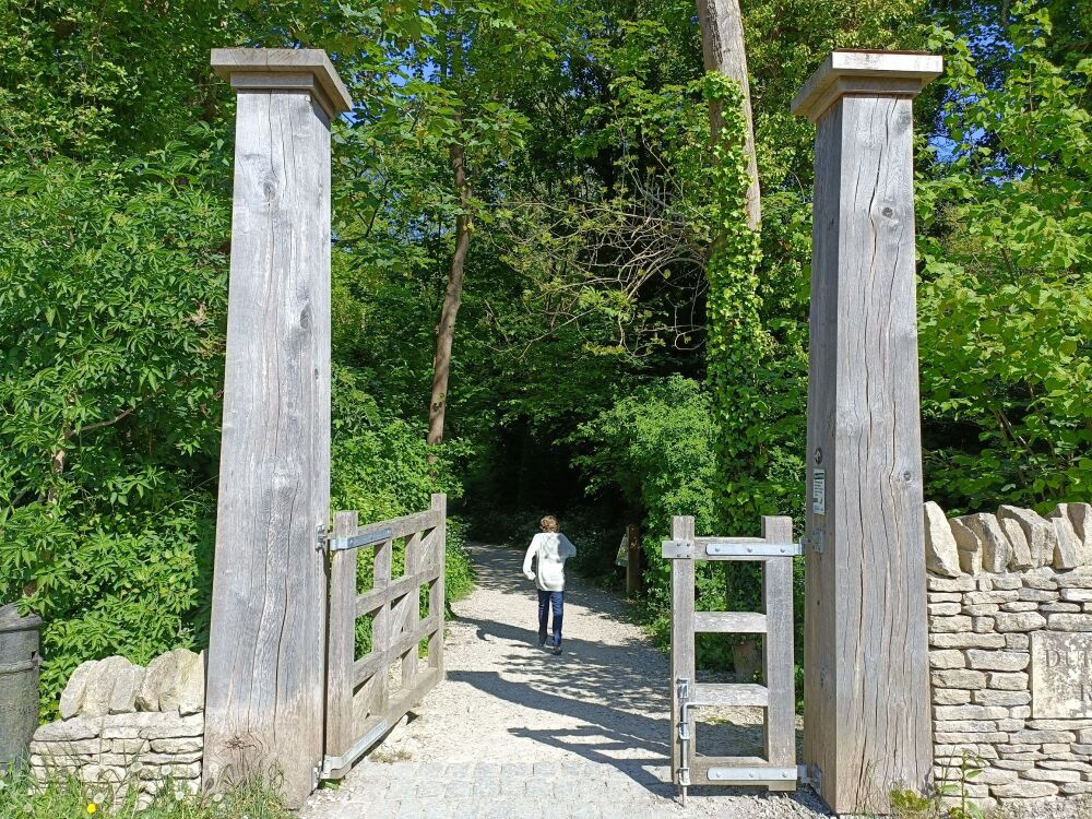 Durlston Country Park DM May 2025 5