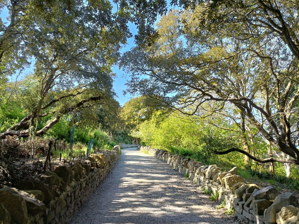 Durlston Country Park DM May 2025 3