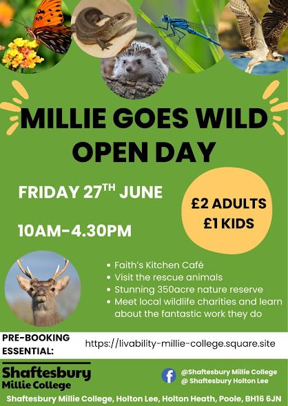 June 27 Millie College 2025