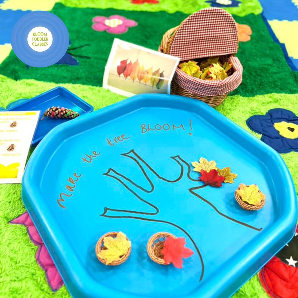 Bloom Toddler Classes Dorset Blog 1