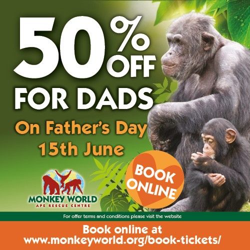 June 15 Monkey World Fathers day 2025