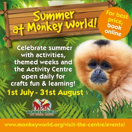 July 1 to Aug 31 Monkey World summer 2025
