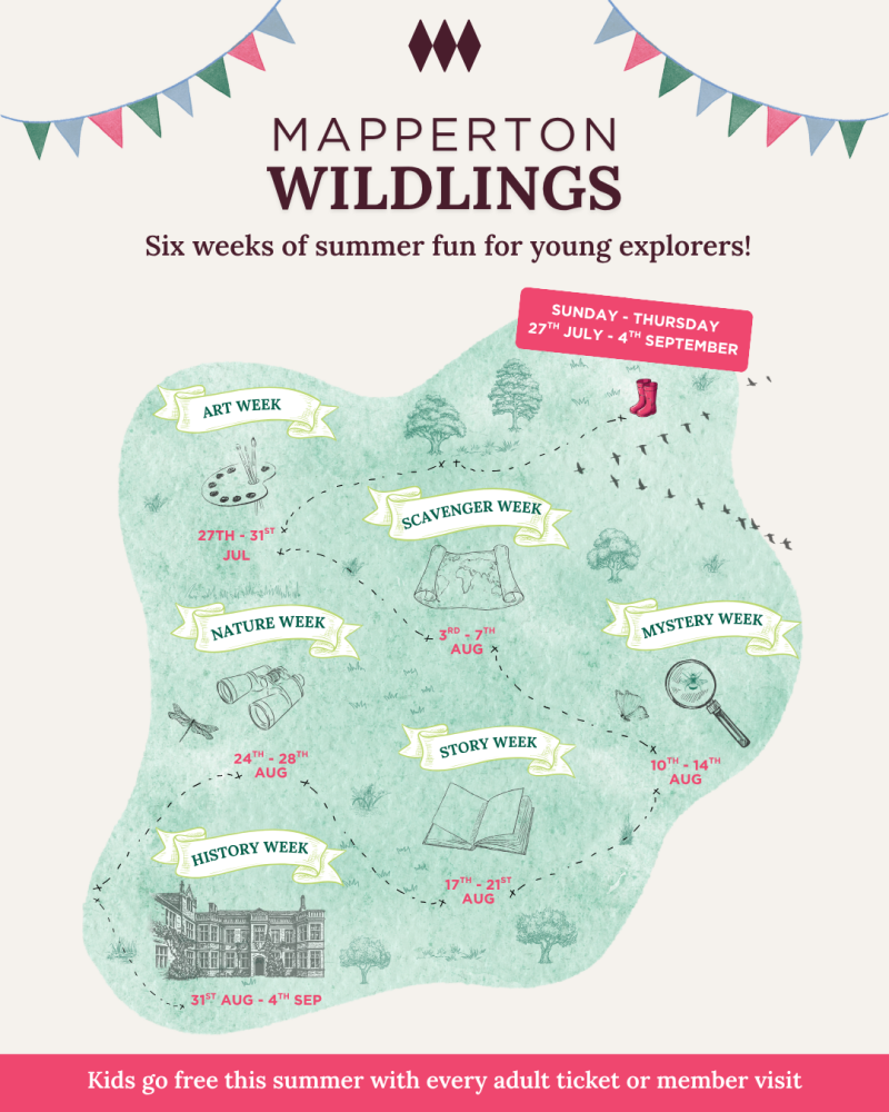 Mapperton Summer Blog