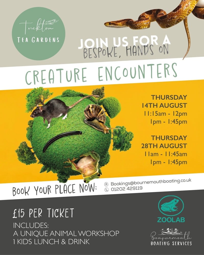 Aug 14 and 28 Tuckton Tea Gardens Creature 2025 Aug 14 and 28 Tuckton Tea Gardens Creature 2025