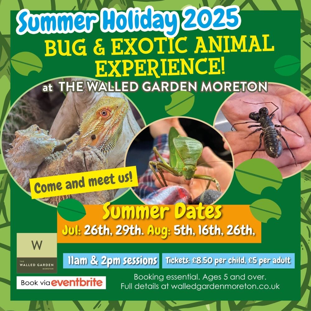 July Aug The Walled Garden Bugs 2025 July Aug The Walled Garden Bugs 2025