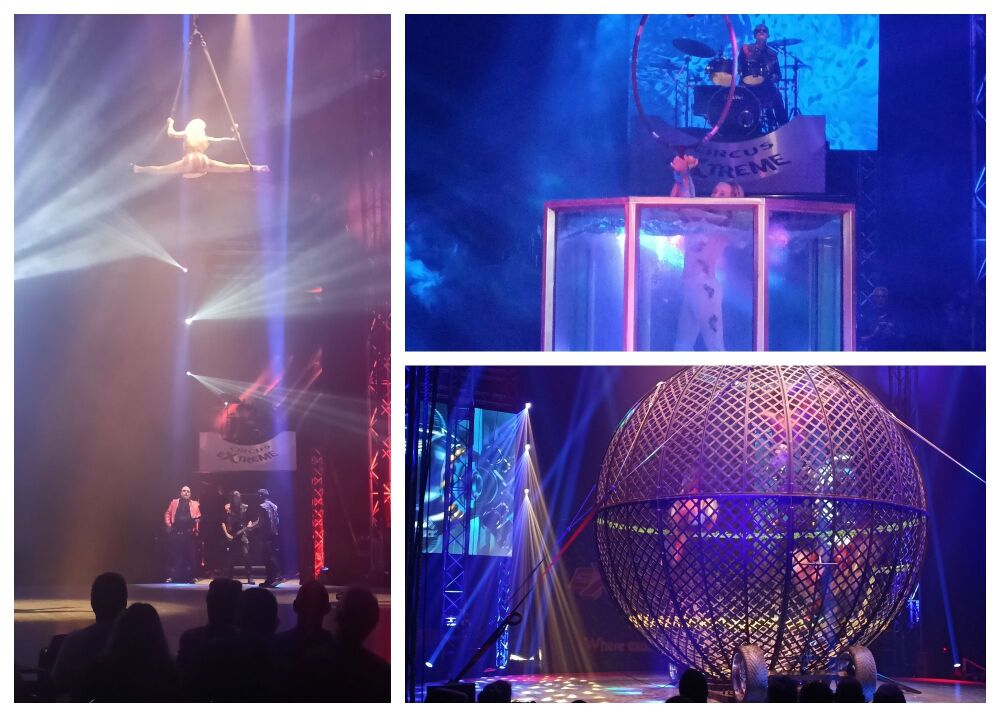 CIRCUS EXTREME COLLAGE JULY 2025 1