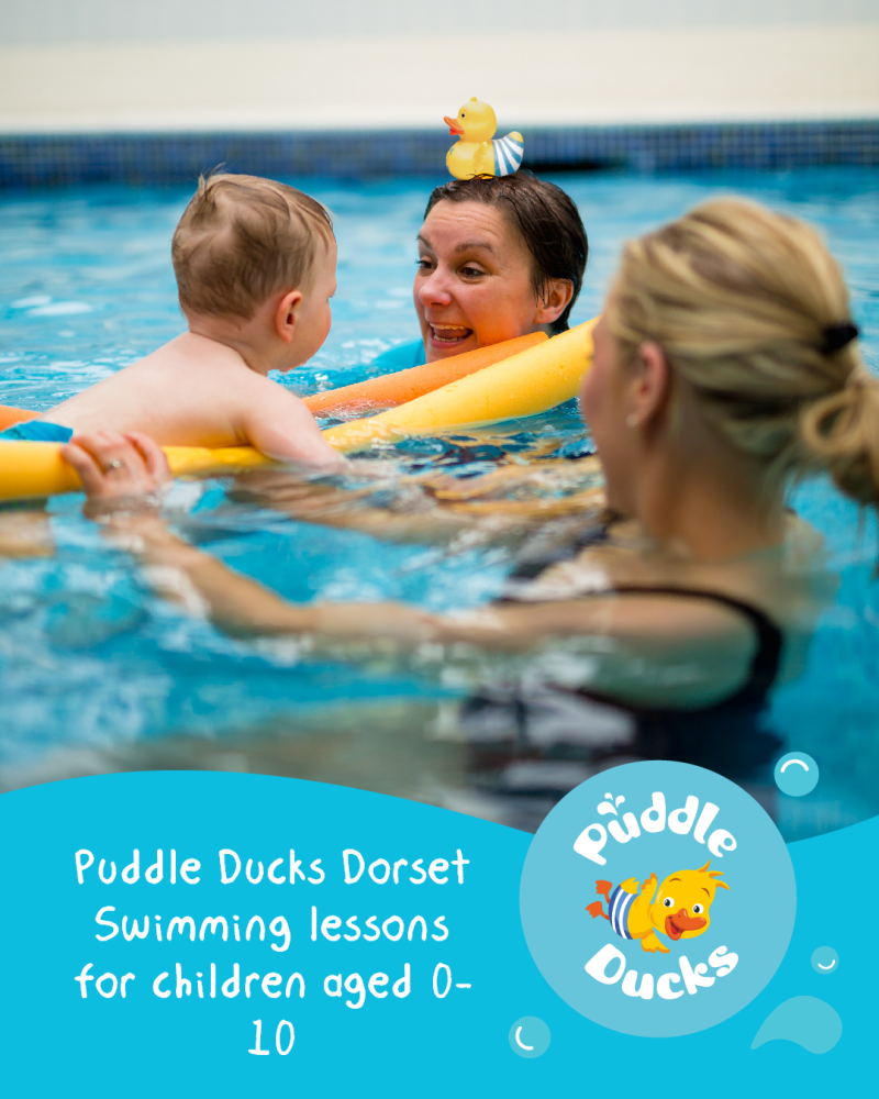 Puddle Ducks Dorset Blog 2025 2 Puddle Ducks Dorset Blog 2025 2