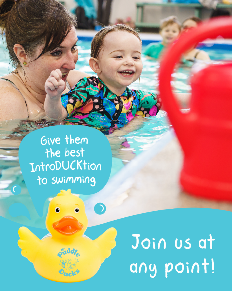 Puddle Ducks Dorset Blog 2025 4 Puddle Ducks Dorset Blog 2025 4