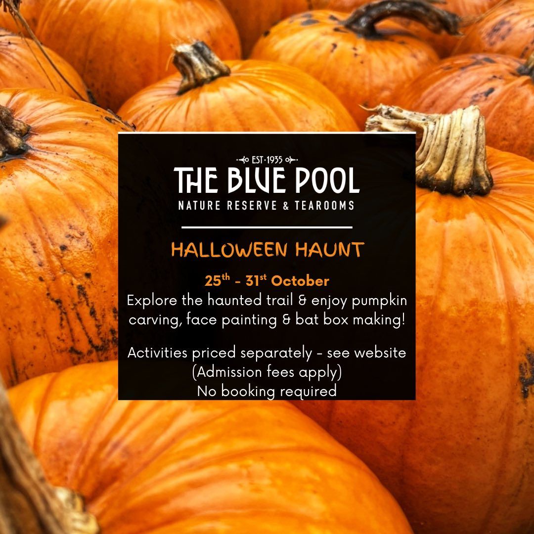 Oct half term Blue Pool 2025