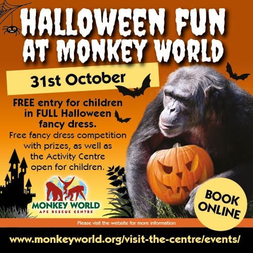 Oct 31 Monkey World halloween 2025