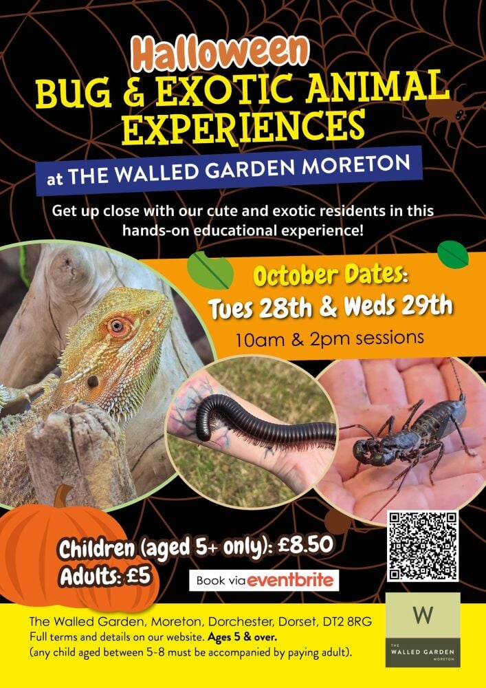 Oct half term Walled Garden Bugs 2025