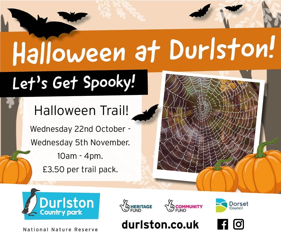 Oct half term Durlston 2025