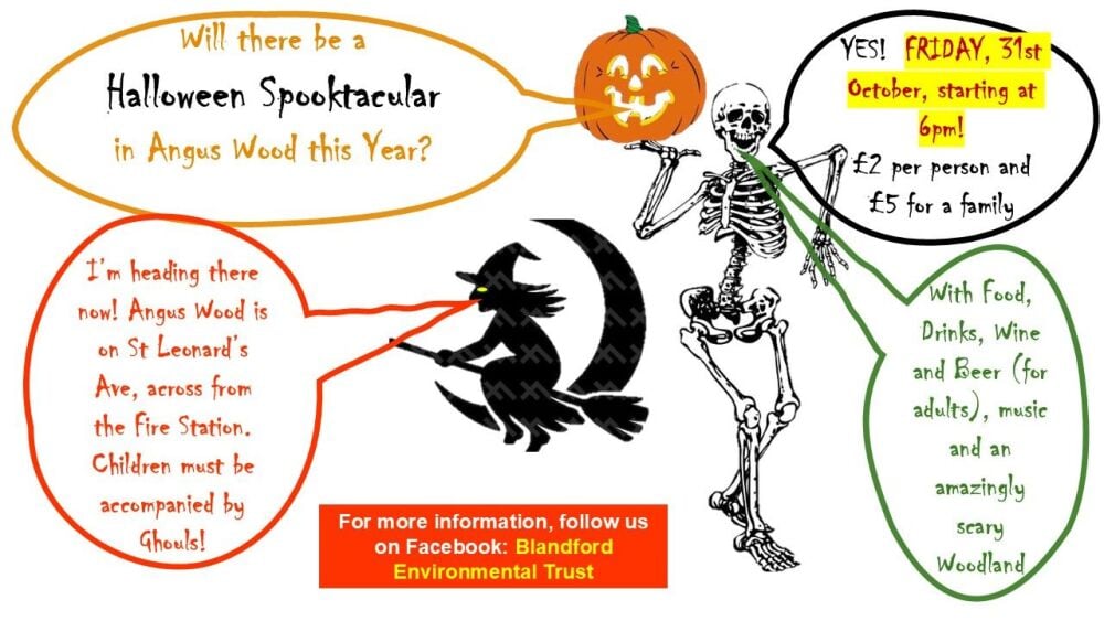 Oct 31 Angus Wood 2025 Oct 31 Angus Wood 2025