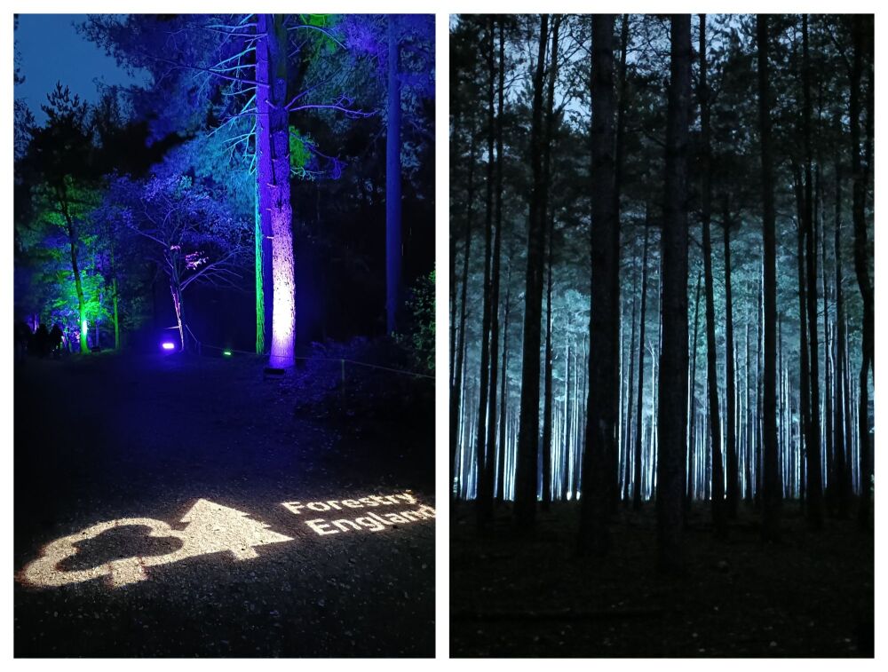 MOORS VALLEY HALLOWEEN TRAIL 2025 BLOG 1