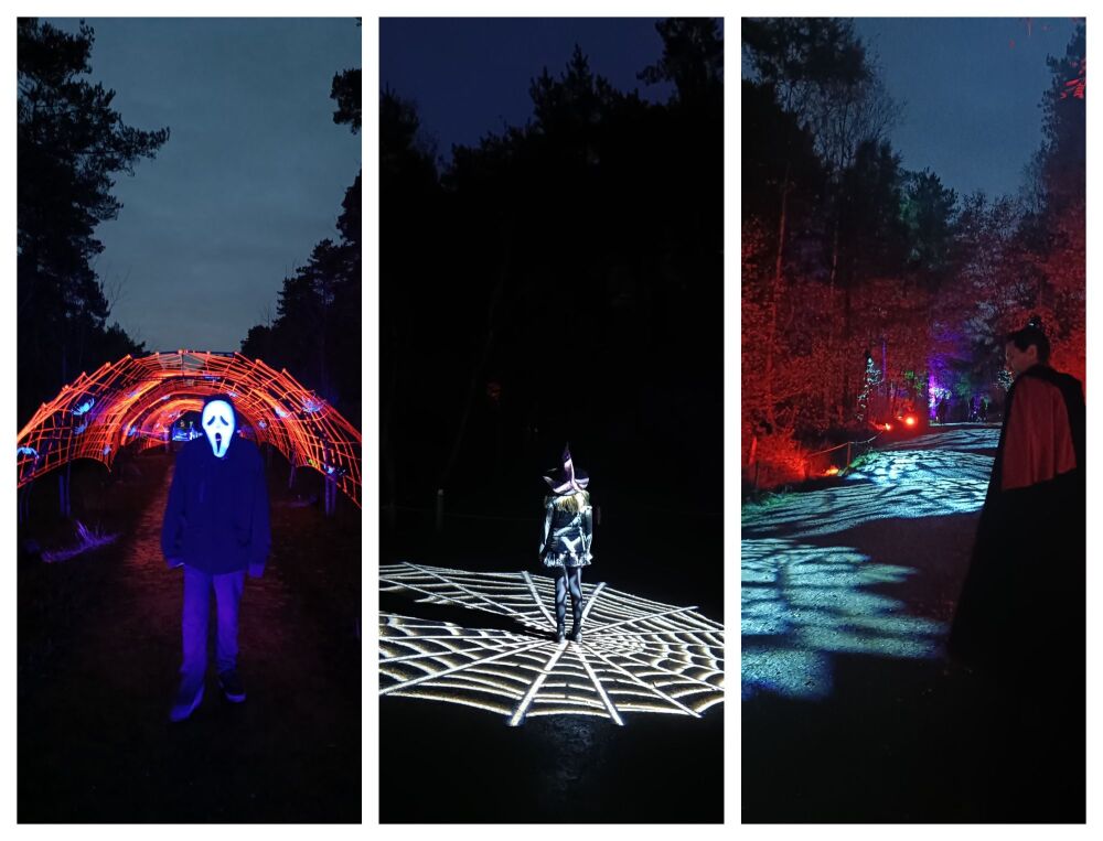 MOORS VALLEY HALLOWEEN TRAIL 2025 BLOG 2