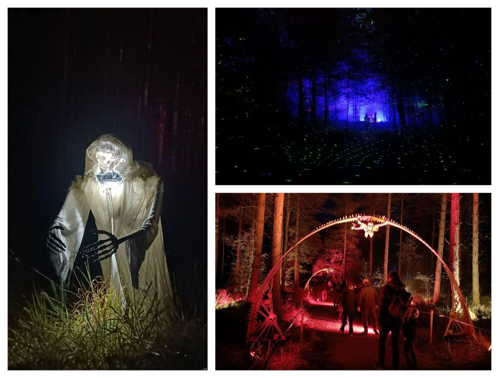 MOORS VALLEY HALLOWEEN TRAIL 2025 BLOG 3