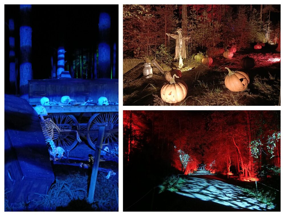 MOORS VALLEY HALLOWEEN TRAIL 2025 BLOG 4