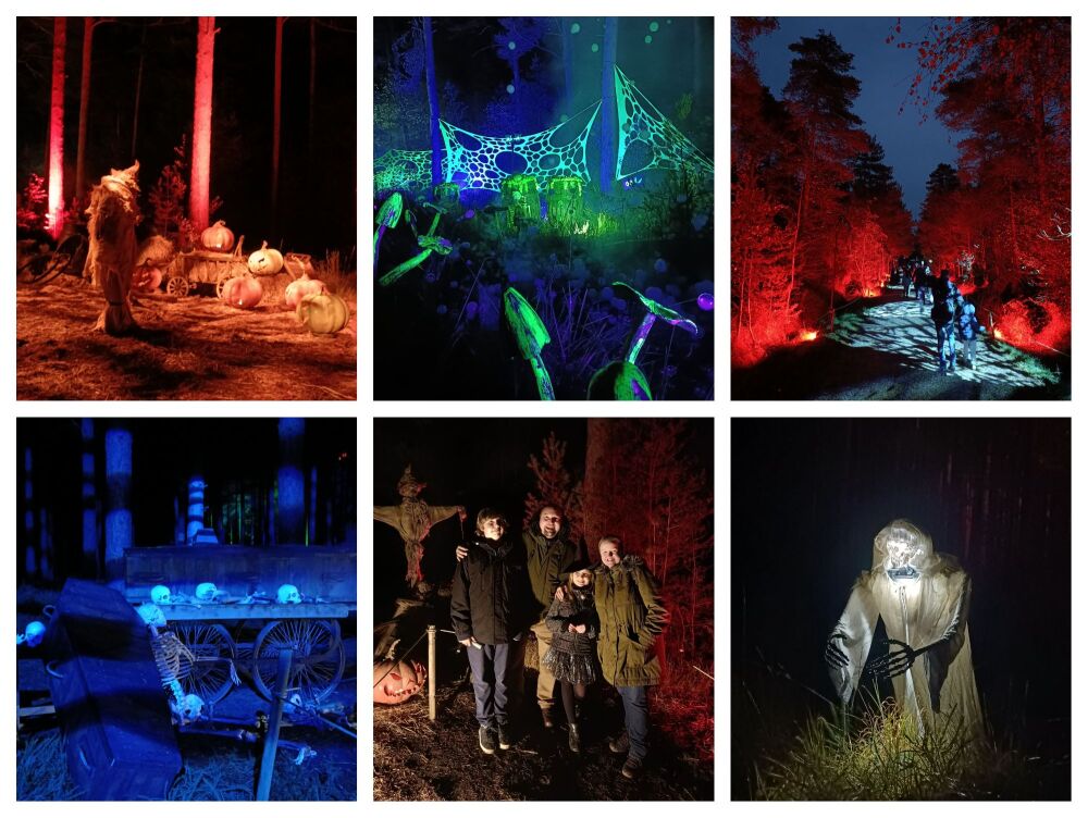 MOORS VALLEY HALLOWEEN TRAIL 2025 BLOG 6