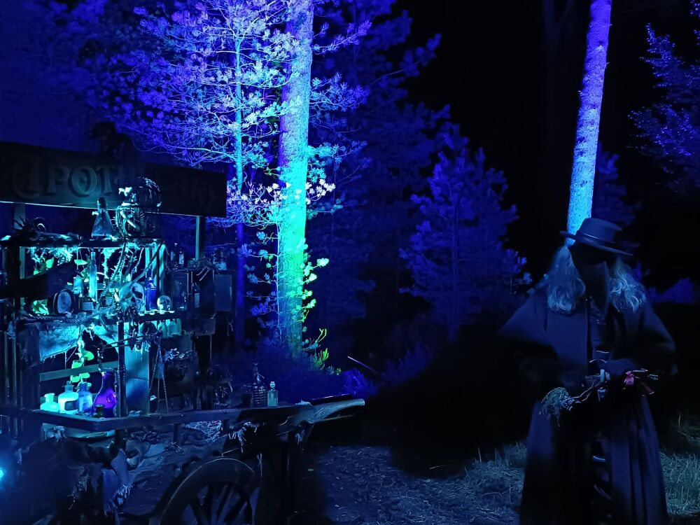 Moors Valley Halloween Trail 2025 32