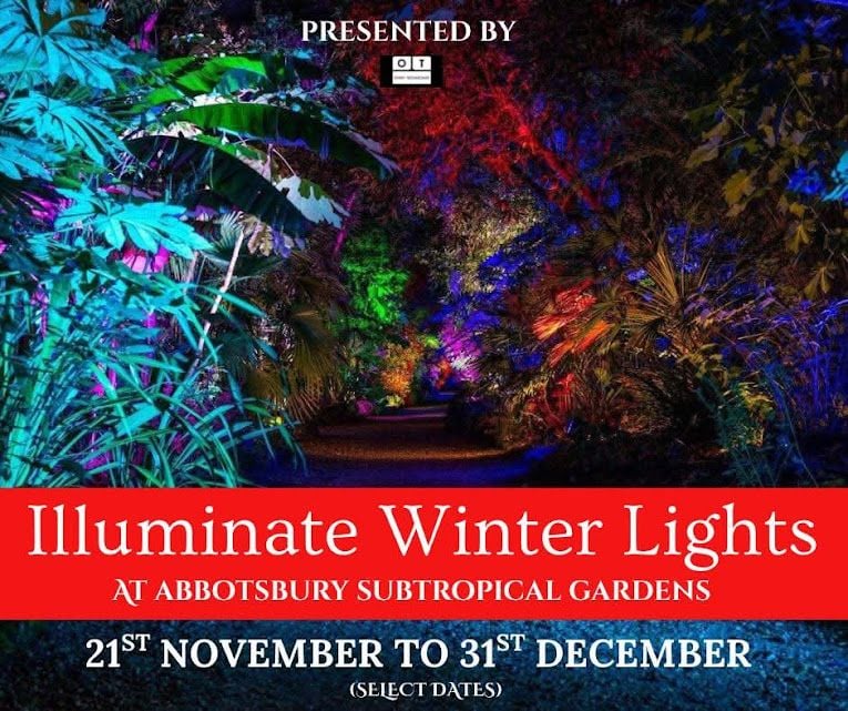 Nov 24 to Dec 31 Illuminate 2025 Nov 24 to Dec 31 Illuminate 2025