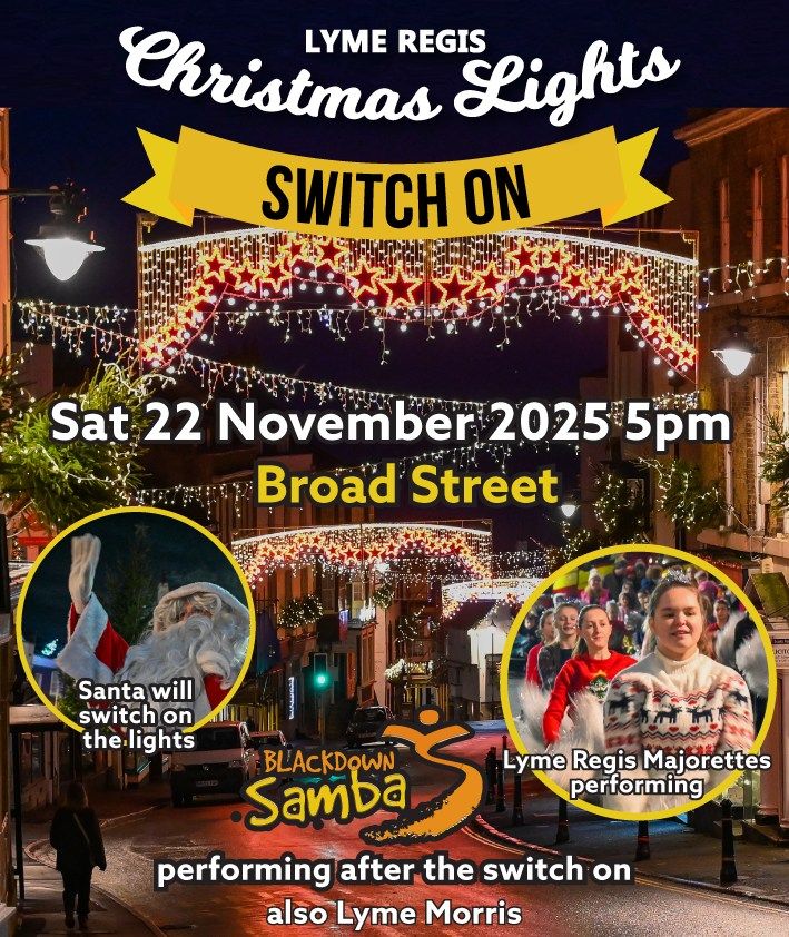 Nov 22 Lyme Regis Light Switch On 2025