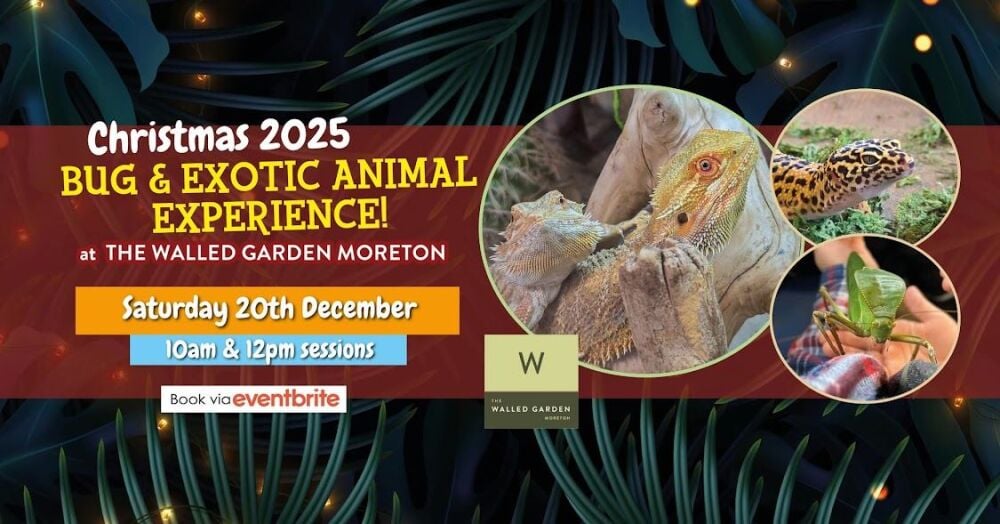 Dec 20 The Walled Garden Bugs 2025