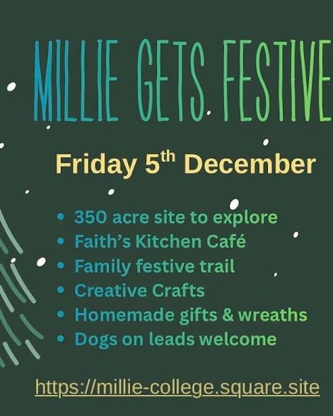 Dec 5 Millie Gets Festive 2025