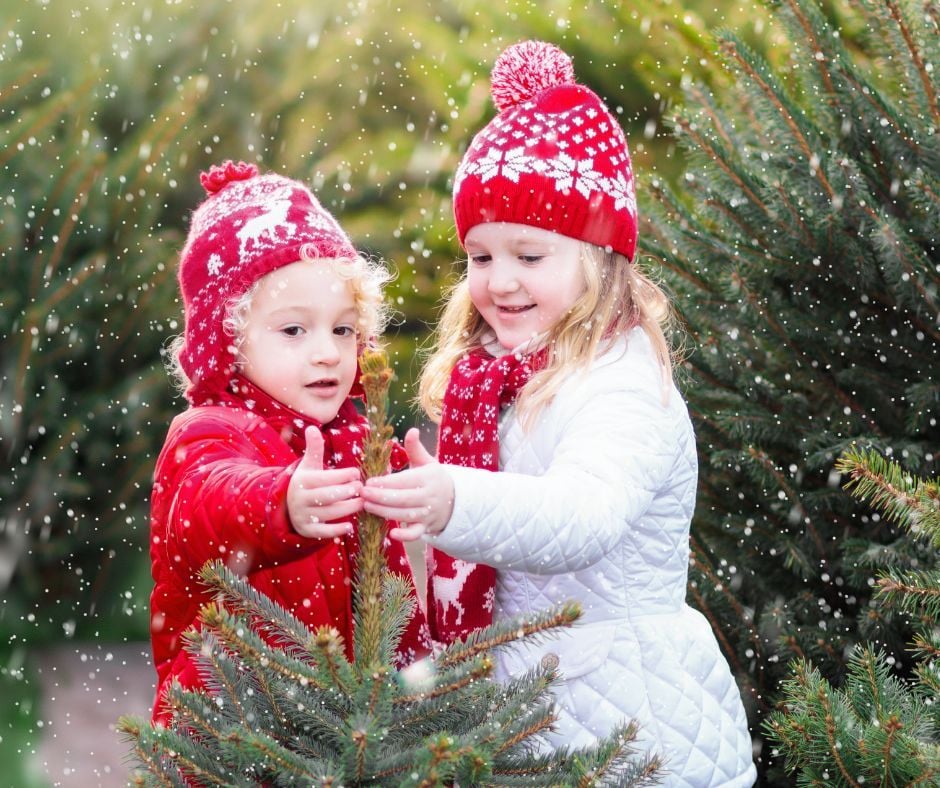 Canva December Christmas