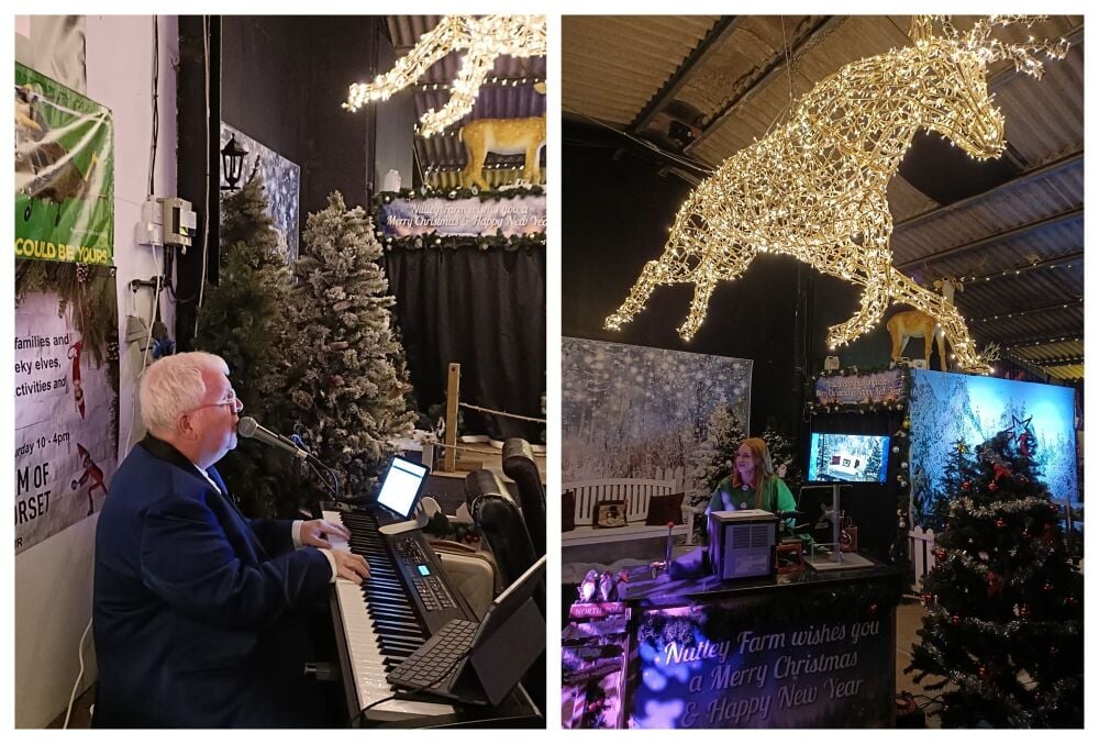 NUTLEY FARM CHRISTMAS LIGHTS DORSET 1