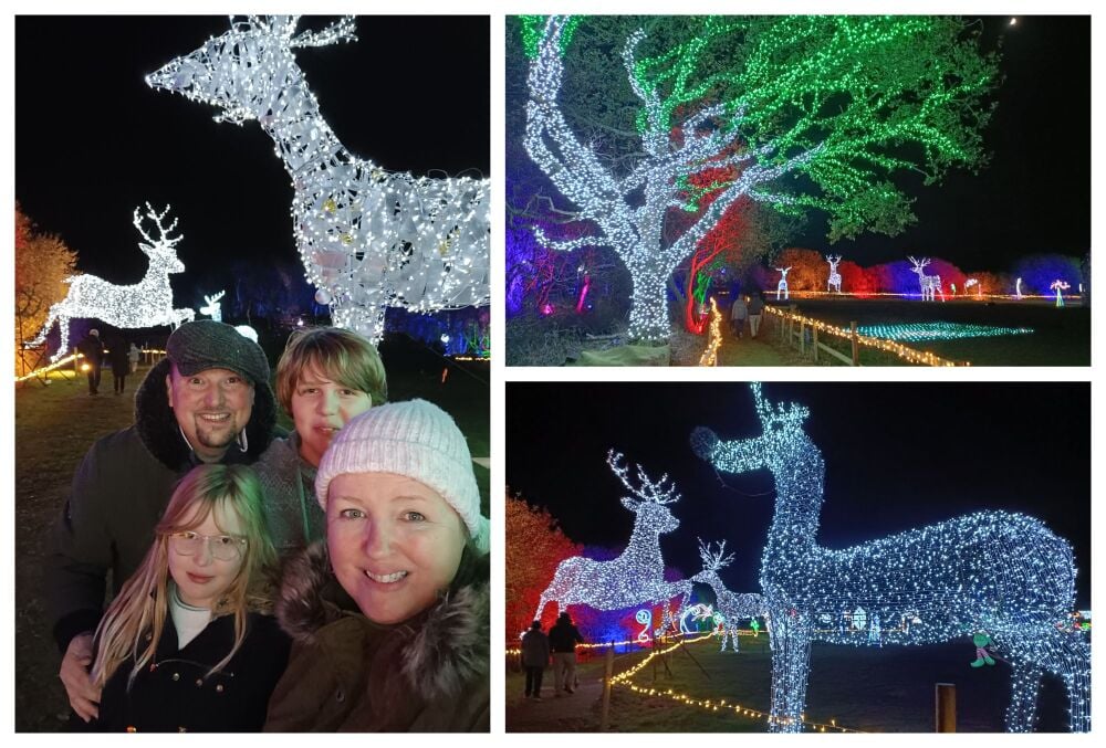 NUTLEY FARM CHRISTMAS LIGHTS DORSET 4