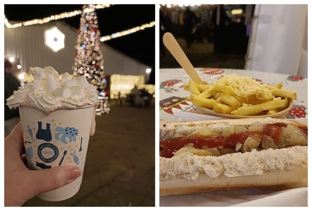 NUTLEY FARM CHRISTMAS LIGHTS DORSET 7