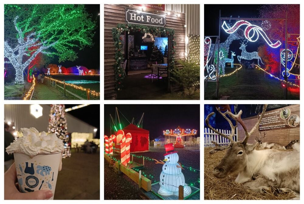 NUTLEY FARM CHRISTMAS LIGHTS DORSET 8