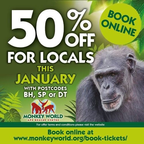 Jan Monkey World half price local 2026