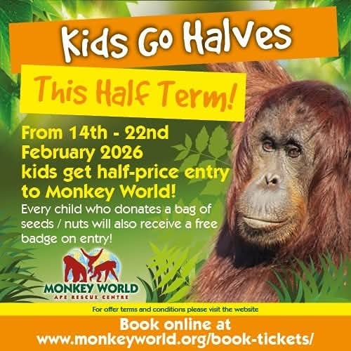 Feb half term Monkey World kids half price 2026 Feb half term Monkey World kids half price 2026