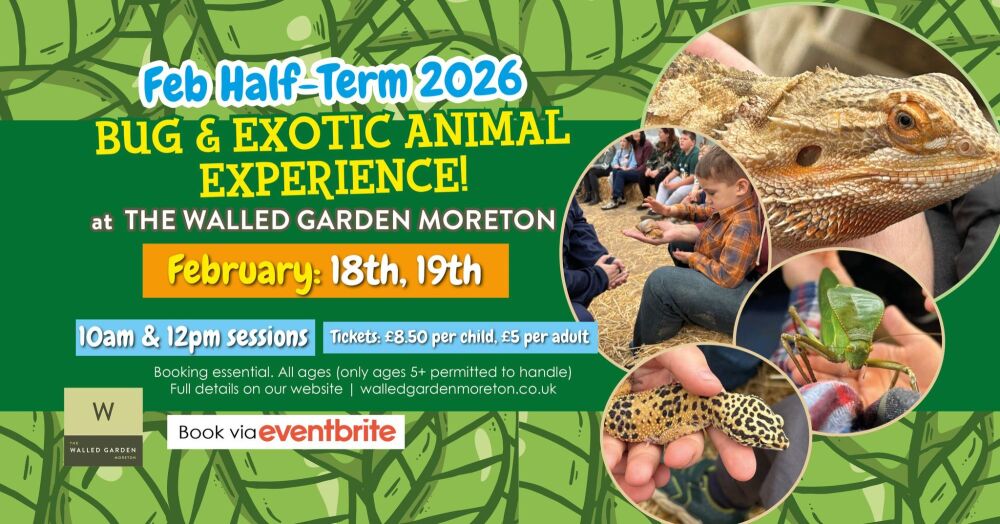 Feb 18 and 19 The Walled Garden Bugs 2026 Feb 18 and 19 The Walled Garden Bugs 2026