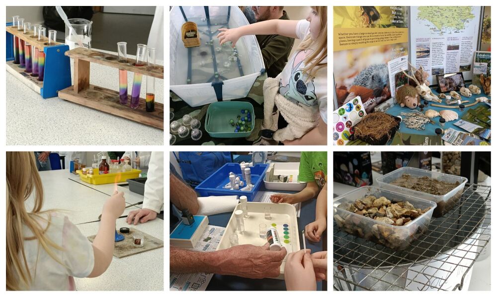 PURBECK SCIENCE FAIR DORSET 3