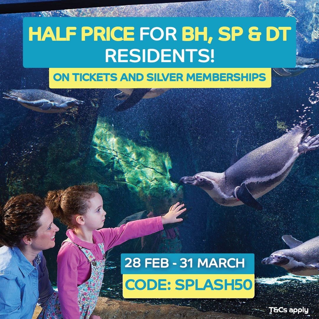 Mar Oceanarium offer 2026 Mar Oceanarium offer 2026
