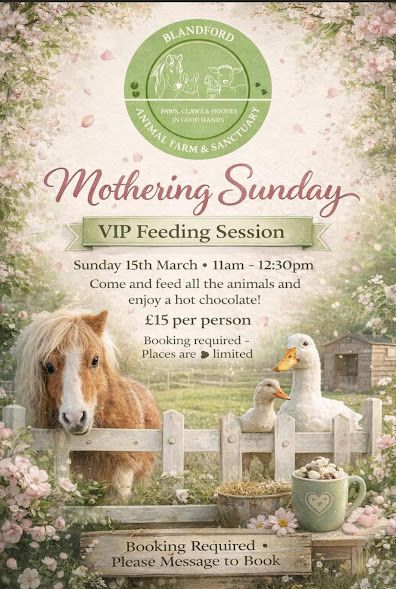 Mar Mothers Day Blandford Animal Farm 2026