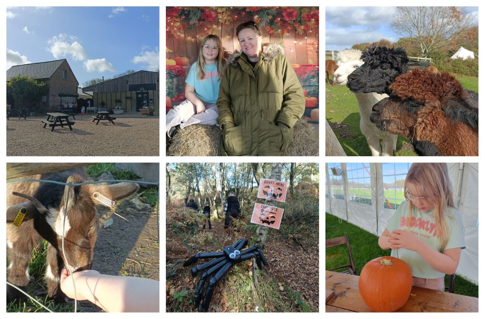 LONGTHORNS FARM WAREHAM DORSET HALLOWEEN 2025 4