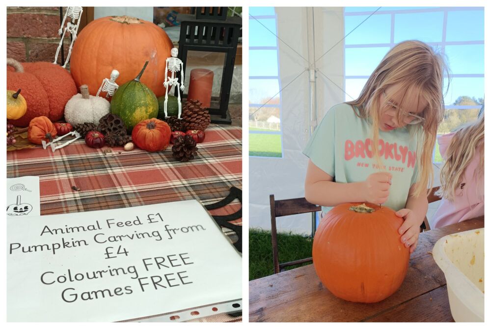 LONGTHORNS FARM WAREHAM DORSET HALLOWEEN 2025 3