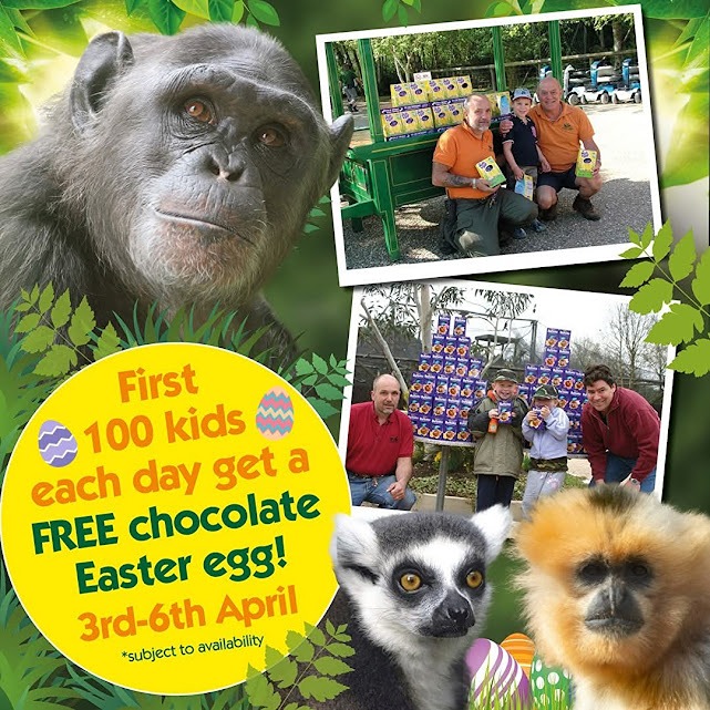 Apr 3 to 6 Monkey World 2026