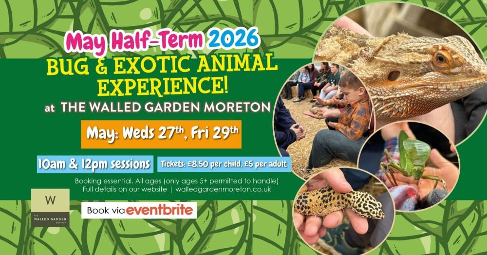 May 27 and 29 The Walled Garden Bugs 2026