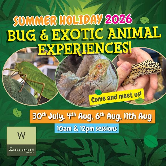 July Aug Walled Garden Bugs 2026