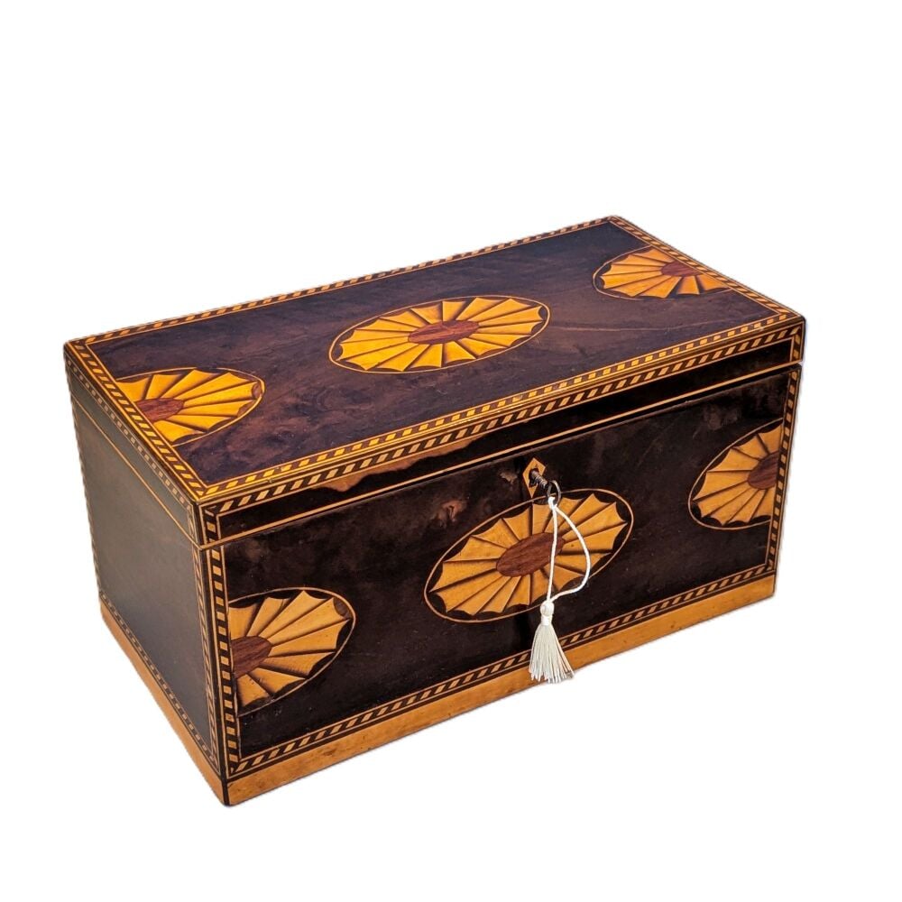 Fine Sheraton period laburnam inlaid tea caddy