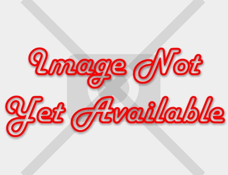 THETFORD Spare Fridge AC Mains Element V2 [Pre 2005 Model N80 & N115 Fridges w/ V85 Gas Valve] (623064)