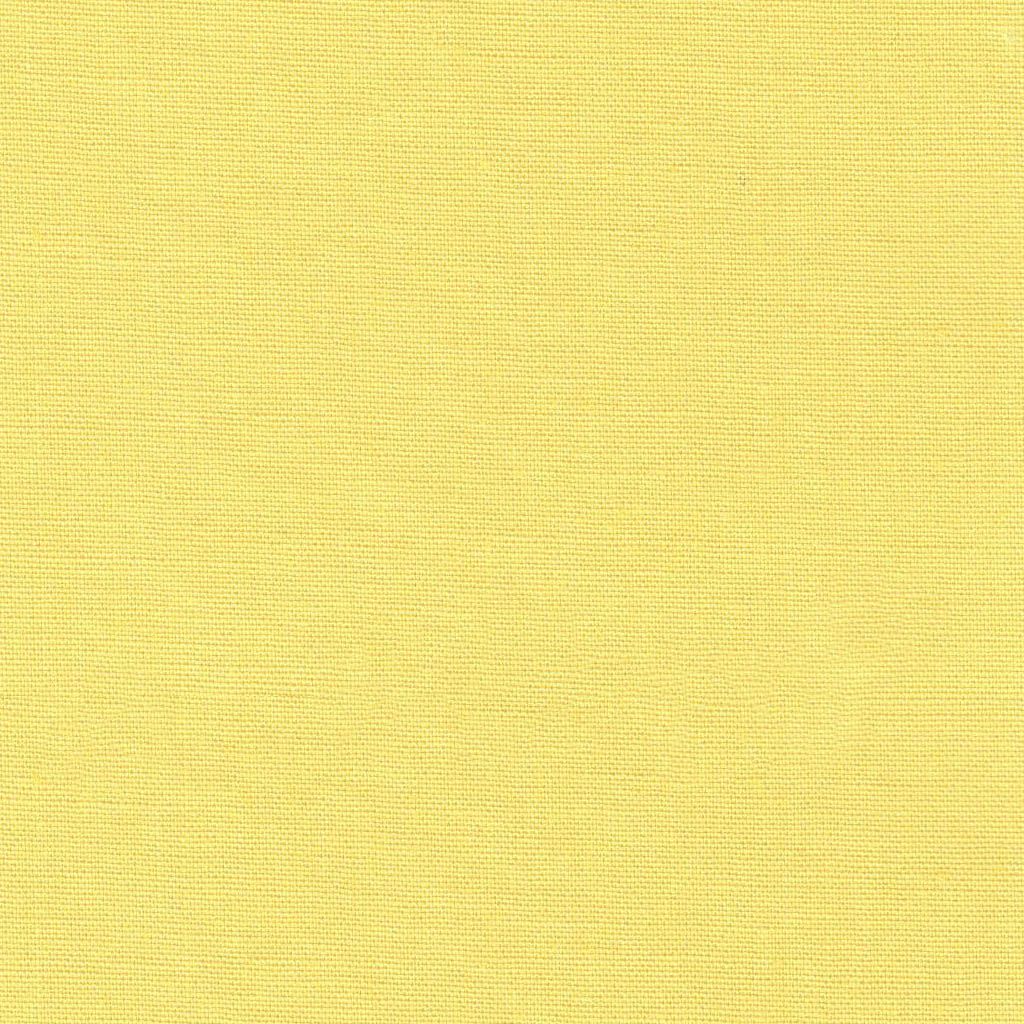 Pop Daffodil by Dashwood Studio Plain Fabric 100% Cotton