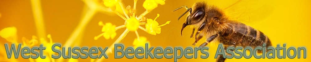 West Sussex Beekeepers Online, site logo.