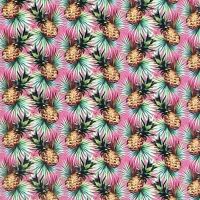 In The Beginning MINI TROPICALS Fabric - Pineapples