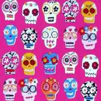 Dashwood Studios FIESTA Fabric - Pink