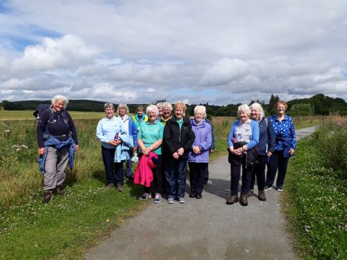 Meadow ramble